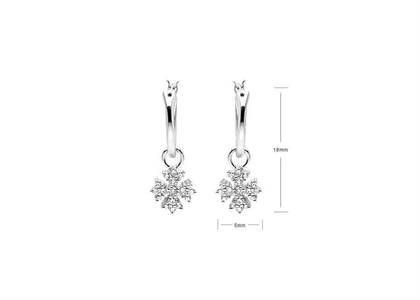 Rhodium Plated | Fashion Earrings